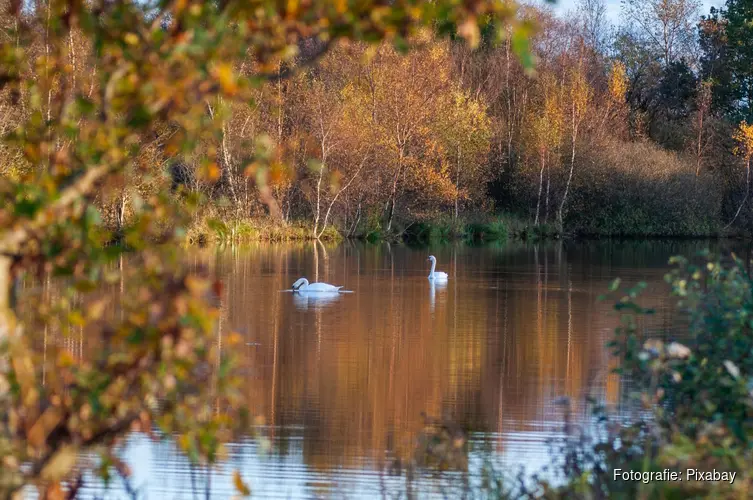 Fryslân behaalt doelstelling voor nieuw bos ruimschoots